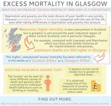 What is excess mortality 2016